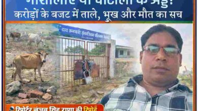 चित्रकूट की बंद पड़ी गौशाला और बाहर भटकते गौवंश के साथ रिपोर्टर संजय सिंह राणा की तस्वीर
