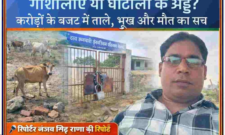 चित्रकूट की बंद पड़ी गौशाला और बाहर भटकते गौवंश के साथ रिपोर्टर संजय सिंह राणा की तस्वीर