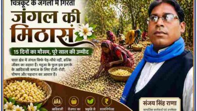 चित्रकूट के पाठा क्षेत्र में जंगल में महिलाएं महुआ (जंगल की मिठास) बीनते हुए, साथ में रिपोर्टर संजय सिंह राणा की तस्वीर
