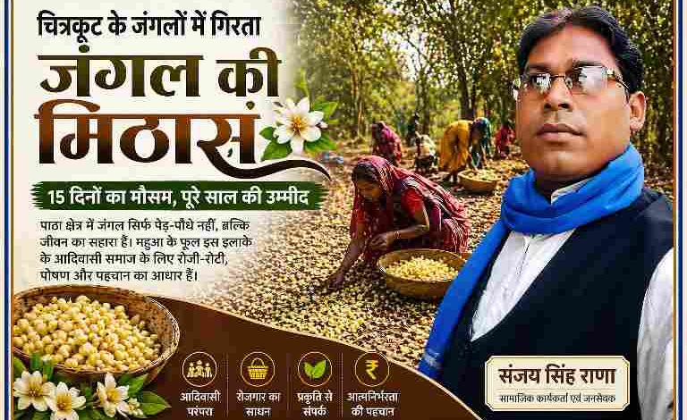 चित्रकूट के पाठा क्षेत्र में जंगल में महिलाएं महुआ (जंगल की मिठास) बीनते हुए, साथ में रिपोर्टर संजय सिंह राणा की तस्वीर