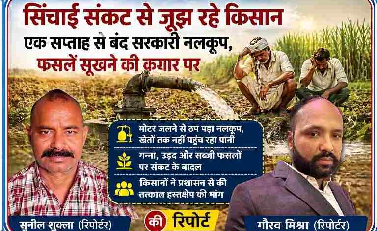 सीतापुर के सिधौली क्षेत्र में बंद पड़े सरकारी नलकूप के कारण सूखती फसलें और चिंतित किसान, साथ में रिपोर्टर सुनील शुक्ला और गौरव मिश्रा की तस्वीर
