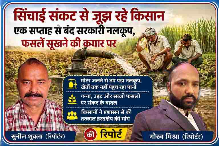 सीतापुर के सिधौली क्षेत्र में बंद पड़े सरकारी नलकूप के कारण सूखती फसलें और चिंतित किसान, साथ में रिपोर्टर सुनील शुक्ला और गौरव मिश्रा की तस्वीर
