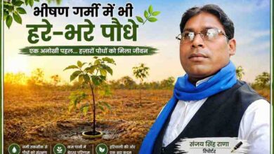चित्रकूट में भीषण गर्मी के बीच पौधों को बचाने के लिए लगाए गए नमी वाले डिब्बों के साथ पौध और रिपोर्टर संजय सिंह राणा