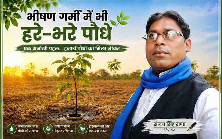 चित्रकूट में भीषण गर्मी के बीच पौधों को बचाने के लिए लगाए गए नमी वाले डिब्बों के साथ पौध और रिपोर्टर संजय सिंह राणा