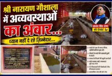 चित्रकूट की श्री नारायण गौशाला में बदहाल व्यवस्थाओं, गौवंशों की दयनीय स्थिति और रिपोर्टर संजय सिंह राणा के साथ बनाई गई फीचर इमेज