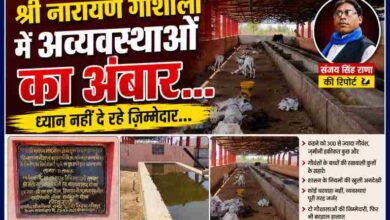 चित्रकूट की श्री नारायण गौशाला में बदहाल व्यवस्थाओं, गौवंशों की दयनीय स्थिति और रिपोर्टर संजय सिंह राणा के साथ बनाई गई फीचर इमेज