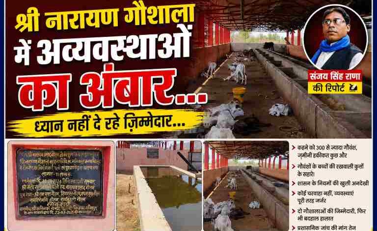 चित्रकूट की श्री नारायण गौशाला में बदहाल व्यवस्थाओं, गौवंशों की दयनीय स्थिति और रिपोर्टर संजय सिंह राणा के साथ बनाई गई फीचर इमेज
