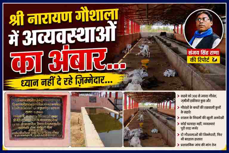 चित्रकूट की श्री नारायण गौशाला में बदहाल व्यवस्थाओं, गौवंशों की दयनीय स्थिति और रिपोर्टर संजय सिंह राणा के साथ बनाई गई फीचर इमेज
