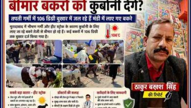 मुरादाबाद की बकरा मंडी में भीषण गर्मी के कारण बीमार पड़ रहे बकरों के साथ रिपोर्टर ठाकुर बख्श सिंह की फीचर इमेज