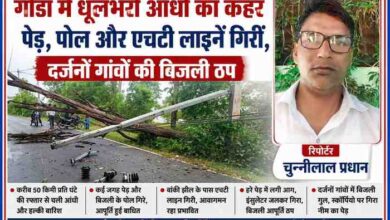 गोंडा में तेज आंधी के बाद सड़क पर गिरे पेड़ और बिजली पोल के साथ रिपोर्टर चुन्नीलाल प्रधान की फीचर इमेज