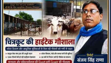 रिपोर्टर संजय सिंह राणा की तस्वीर के साथ चित्रकूट स्थित सद्गुरु सेवा संघ ट्रस्ट की आधुनिक गौशाला और गौवंशों का दृश्य