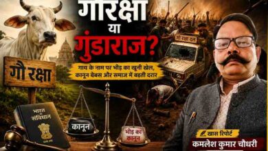 कमलेश कुमार चौधरी की खास रिपोर्ट के लिए बनाई गई फीचर इमेज, जिसमें गौशाला, गायों का दृश्य और गौरक्षा के नाम पर बढ़ती भीड़ हिंसा को दर्शाया गया है।