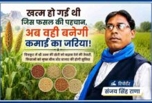 रिपोर्टर संजय सिंह राणा के साथ चित्रकूट में ज्वार-बाजरा और श्री अन्न की खेती को बढ़ावा देने पर आधारित फीचर इमेज