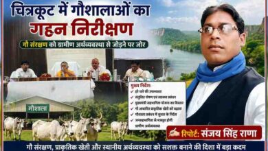 चित्रकूट कलेक्ट्रेट सभागार में गौशाला निरीक्षण बैठक करते अधिकारी और रिपोर्टर संजय सिंह राणा का पोर्ट्रेट, गौ संरक्षण और ग्रामीण विकास पर चर्चा