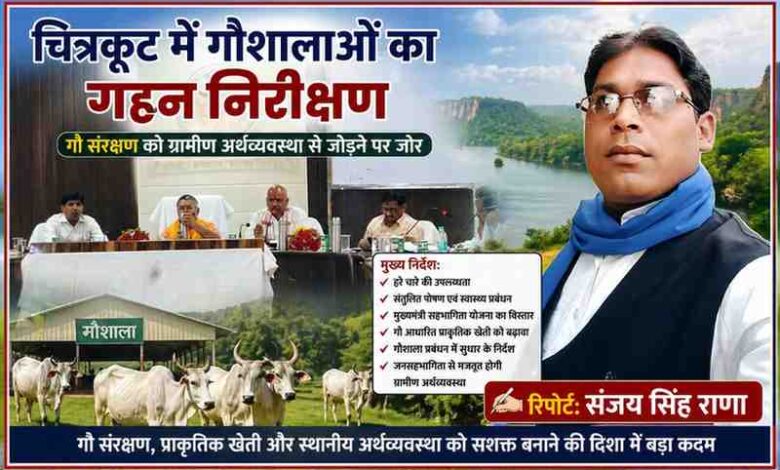 चित्रकूट कलेक्ट्रेट सभागार में गौशाला निरीक्षण बैठक करते अधिकारी और रिपोर्टर संजय सिंह राणा का पोर्ट्रेट, गौ संरक्षण और ग्रामीण विकास पर चर्चा