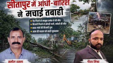 सीतापुर में आंधी और बारिश के बाद सड़क पर गिरा पेड़, रिपोर्टर सुनील शुक्ला और गौरव मिश्रा की तस्वीर के साथ फीचर इमेज