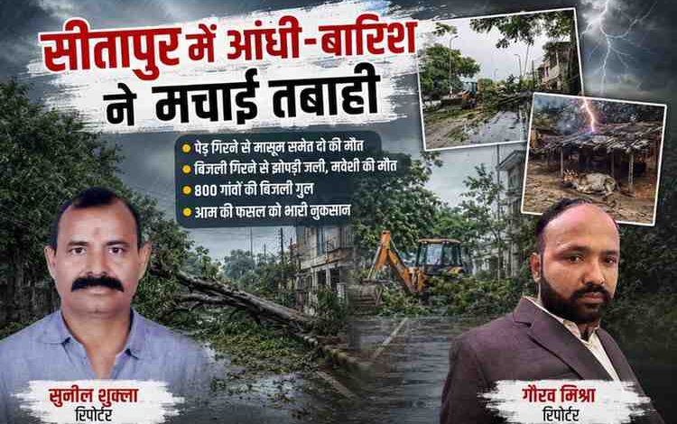 सीतापुर में आंधी और बारिश के बाद सड़क पर गिरा पेड़, रिपोर्टर सुनील शुक्ला और गौरव मिश्रा की तस्वीर के साथ फीचर इमेज