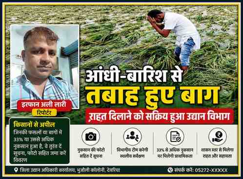 देवरिया में आंधी-तूफान से बर्बाद फसल के बीच खड़ा किसान और रिपोर्टर इरफान अली लारी की तस्वीर के साथ बनाई गई फीचर इमेज