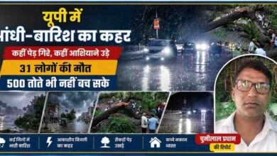 उत्तर प्रदेश में तेज आंधी, बारिश और बिजली गिरने से हुई तबाही को दर्शाती फीचर इमेज, जिसमें क्षतिग्रस्त पेड़, बारिश का दृश्य और रिपोर्टर चुन्नीलाल प्रधान की तस्वीर शामिल है।