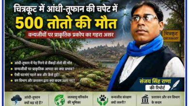 चित्रकूट में आए भीषण आंधी-तूफान के बाद मृत तोतों और रिपोर्टर संजय सिंह राणा के साथ वन्यजीवों पर प्राकृतिक आपदा के प्रभाव को दर्शाती फीचर इमेज।