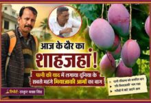 सहारनपुर के किसान शक्ति सिंह द्वारा पत्नी की स्मृति में लगाए गए मियाज़ाकी आमों के बाग की तस्वीर, साथ में रिपोर्टर ठाकुर बख्श सिंह की फोटो।