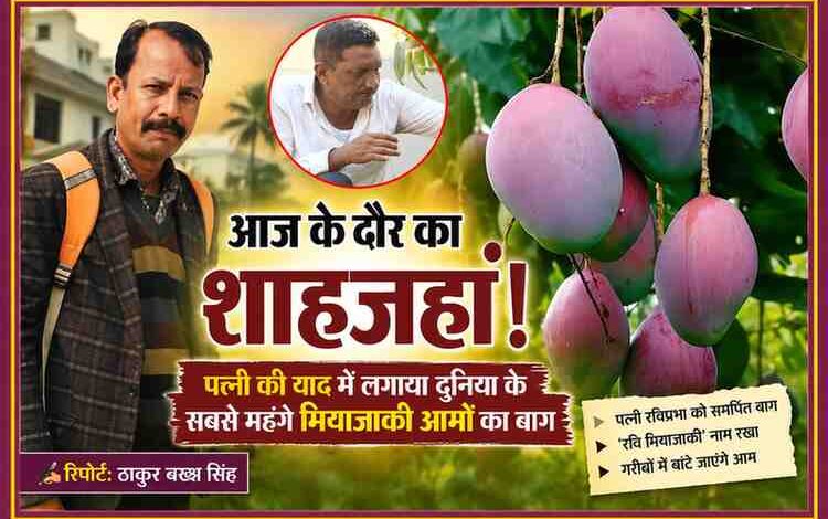 सहारनपुर के किसान शक्ति सिंह द्वारा पत्नी की स्मृति में लगाए गए मियाज़ाकी आमों के बाग की तस्वीर, साथ में रिपोर्टर ठाकुर बख्श सिंह की फोटो।