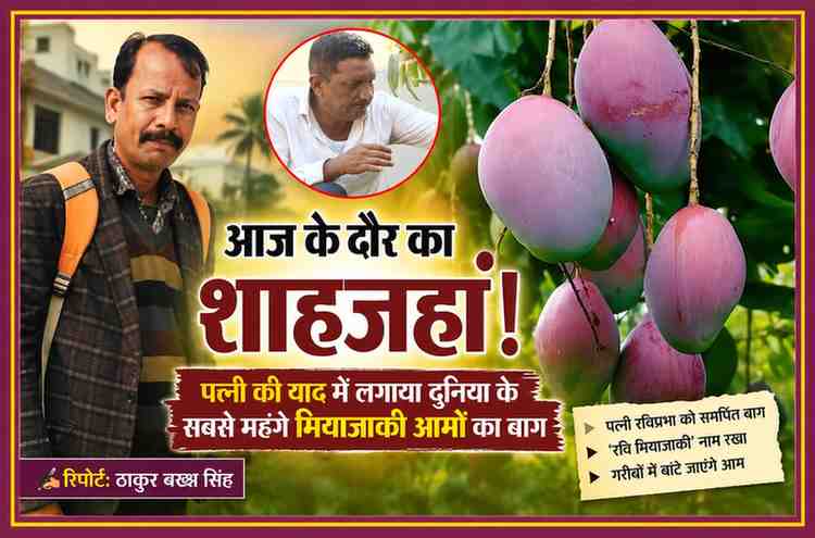 सहारनपुर के किसान शक्ति सिंह द्वारा पत्नी की स्मृति में लगाए गए मियाज़ाकी आमों के बाग की तस्वीर, साथ में रिपोर्टर ठाकुर बख्श सिंह की फोटो।