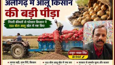 अलीगढ़ के भिलावटी गांव में आलू की गिरती कीमतों से परेशान किसान ट्रैक्टर-ट्रॉली से आलू खेत में गिराते हुए, साथ में रिपोर्टर ठाकुर बख्श सिंह की तस्वीर।