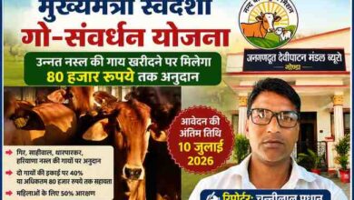 मुख्यमंत्री स्वदेशी गो-संवर्धन योजना के प्रचारात्मक फीचर इमेज में उन्नत नस्ल की गायें और रिपोर्टर चुन्नीलाल प्रधान दिखाई दे रहे हैं।