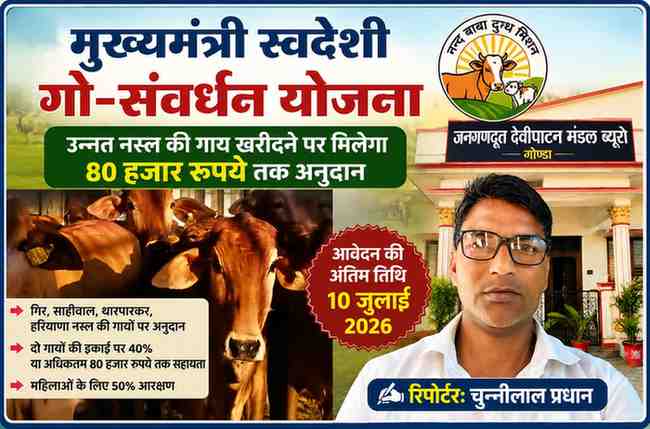 मुख्यमंत्री स्वदेशी गो-संवर्धन योजना के प्रचारात्मक फीचर इमेज में उन्नत नस्ल की गायें और रिपोर्टर चुन्नीलाल प्रधान दिखाई दे रहे हैं।