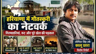 रिपोर्टर जोगिंदर सिंह उर्फ कालू छारा की तस्वीर के साथ हरियाणा में गौतस्करी नेटवर्क, पुलिस कार्रवाई, गोवंश परिवहन रूट और गिरफ्तारियों पर आधारित विशेष फीचर इमेज।