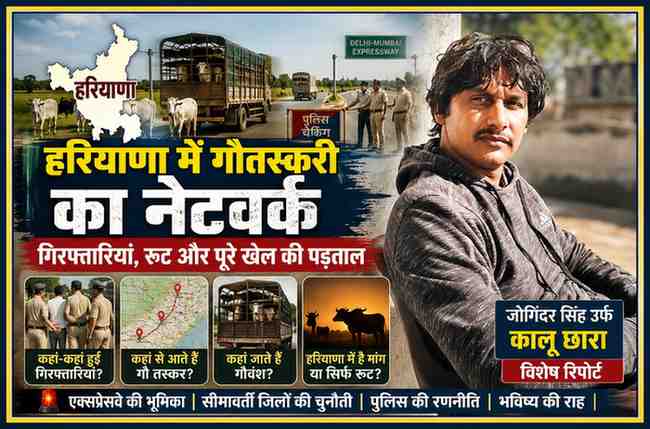 रिपोर्टर जोगिंदर सिंह उर्फ कालू छारा की तस्वीर के साथ हरियाणा में गौतस्करी नेटवर्क, पुलिस कार्रवाई, गोवंश परिवहन रूट और गिरफ्तारियों पर आधारित विशेष फीचर इमेज।