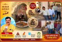 आजमगढ़ कलेक्ट्रेट स्थित शिव मंदिर परिसर में बड़े मंगलवार पर आयोजित भंडारे के दौरान बंदरों को फल और चना खिलाते लोग तथा रिपोर्टर जगदंबा उपाध्याय।