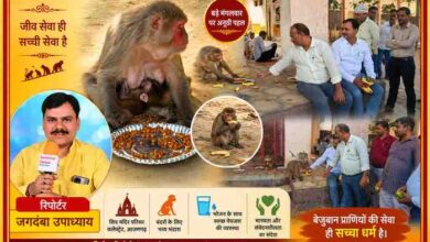 आजमगढ़ कलेक्ट्रेट स्थित शिव मंदिर परिसर में बड़े मंगलवार पर आयोजित भंडारे के दौरान बंदरों को फल और चना खिलाते लोग तथा रिपोर्टर जगदंबा उपाध्याय।