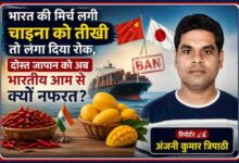 रिपोर्टर अंजनी कुमार त्रिपाठी की तस्वीर के साथ भारत की मिर्च पर चीन की रोक और भारतीय आमों पर जापान के प्रतिबंध को दर्शाती फीचर इमेज।