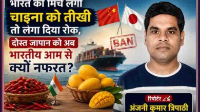 रिपोर्टर अंजनी कुमार त्रिपाठी की तस्वीर के साथ भारत की मिर्च पर चीन की रोक और भारतीय आमों पर जापान के प्रतिबंध को दर्शाती फीचर इमेज।