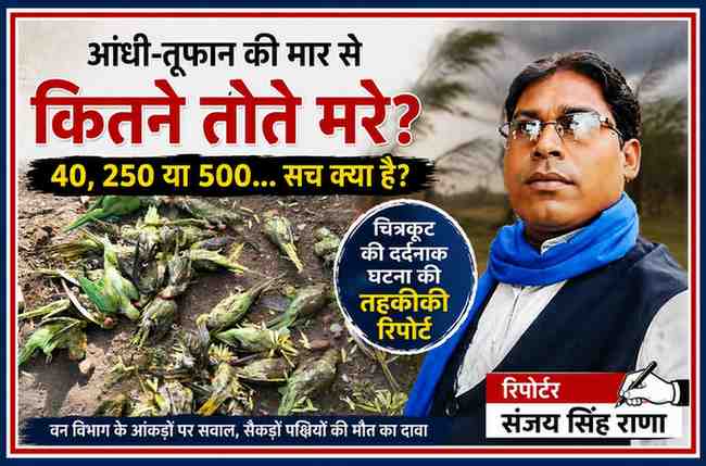 चित्रकूट में आंधी-तूफान के बाद मृत पड़े तोतों की तस्वीर के साथ रिपोर्टर संजय सिंह राणा की फोटो, वन विभाग के आंकड़ों पर सवाल उठाती खोजी रिपोर्ट।