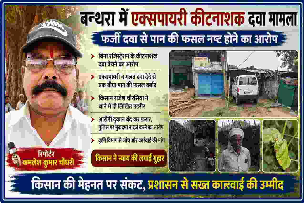 रिपोर्टर कमलेश कुमार चौधरी के साथ बन्थरा स्थित कथित कीटनाशक विक्रेता की दुकान, पान की भीट और प्रभावित किसान की तस्वीरों पर आधारित समाचार फीचर इमेज।