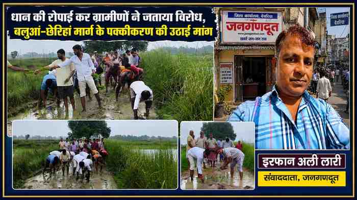 देवरिया के बलुआं गांव में ग्रामीण जर्जर सड़क पर धान की रोपाई कर बलुआं-छेरिहां मार्ग के पक्कीकरण की मांग करते हुए, साथ में संवाददाता इरफान अली लारी का फोटो।