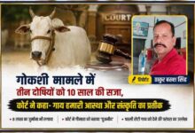 रिपोर्टर ठाकुर बख्श सिंह की तस्वीर के साथ गाय, कोर्ट की प्रतीकात्मक छवि और गोकशी मामले में तीन दोषियों को 10 वर्ष की सजा से संबंधित फीचर इमेज।