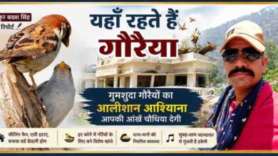 रिपोर्टर ठाकुर बख्श सिंह की तस्वीर के साथ मुरादाबाद की गौरैया वाली हवेली और गौरैया पक्षियों का फीचर ग्राफिक, जहां हजारों गौरैयों के लिए सुरक्षित आशियाना बनाया गया है।