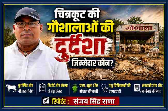 रिपोर्टर संजय सिंह राणा के साथ चित्रकूट की गोशाला में कुपोषित गोवंशों की स्थिति दर्शाती फीचर इमेज।