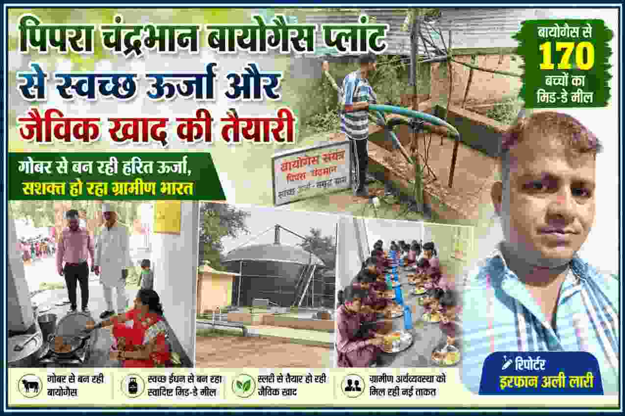 पिपरा चंद्रभान बायोगैस प्लांट में गोबर से बायोगैस और जैविक खाद तैयार करते ग्रामीण, रिपोर्टर इरफान अली लारी की तस्वीर