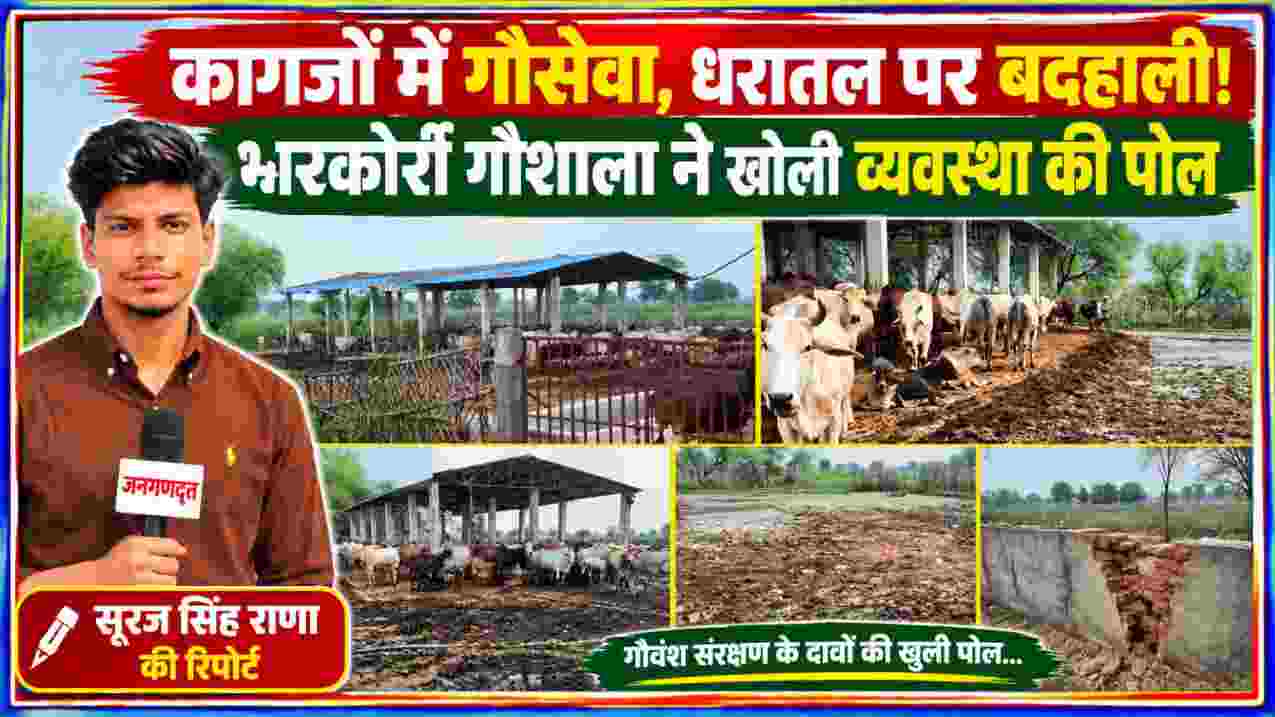 चित्रकूट की भरकोर्रा गौशाला में अव्यवस्था, गंदगी और गौवंश के बीच रिपोर्टर सूरज सिंह राणा